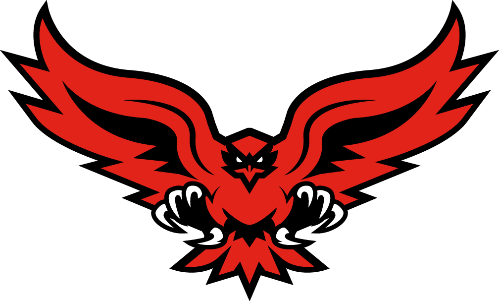 Hartford Hawks 2015-Pres Alternate Logo v2 DIY iron on transfer (heat transfer)